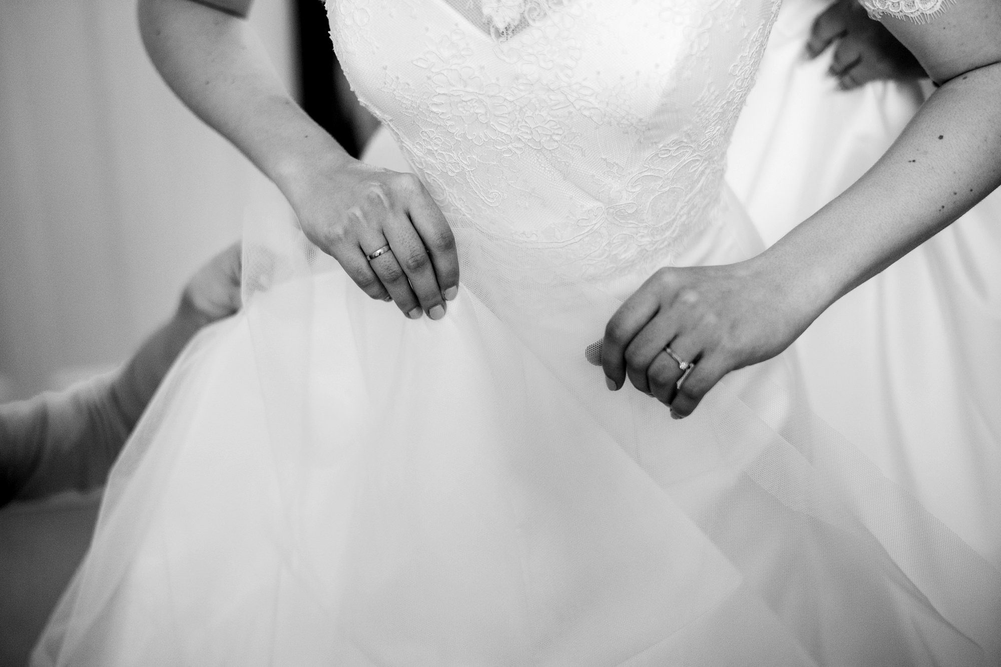 Wedding Oak Tree of Peover