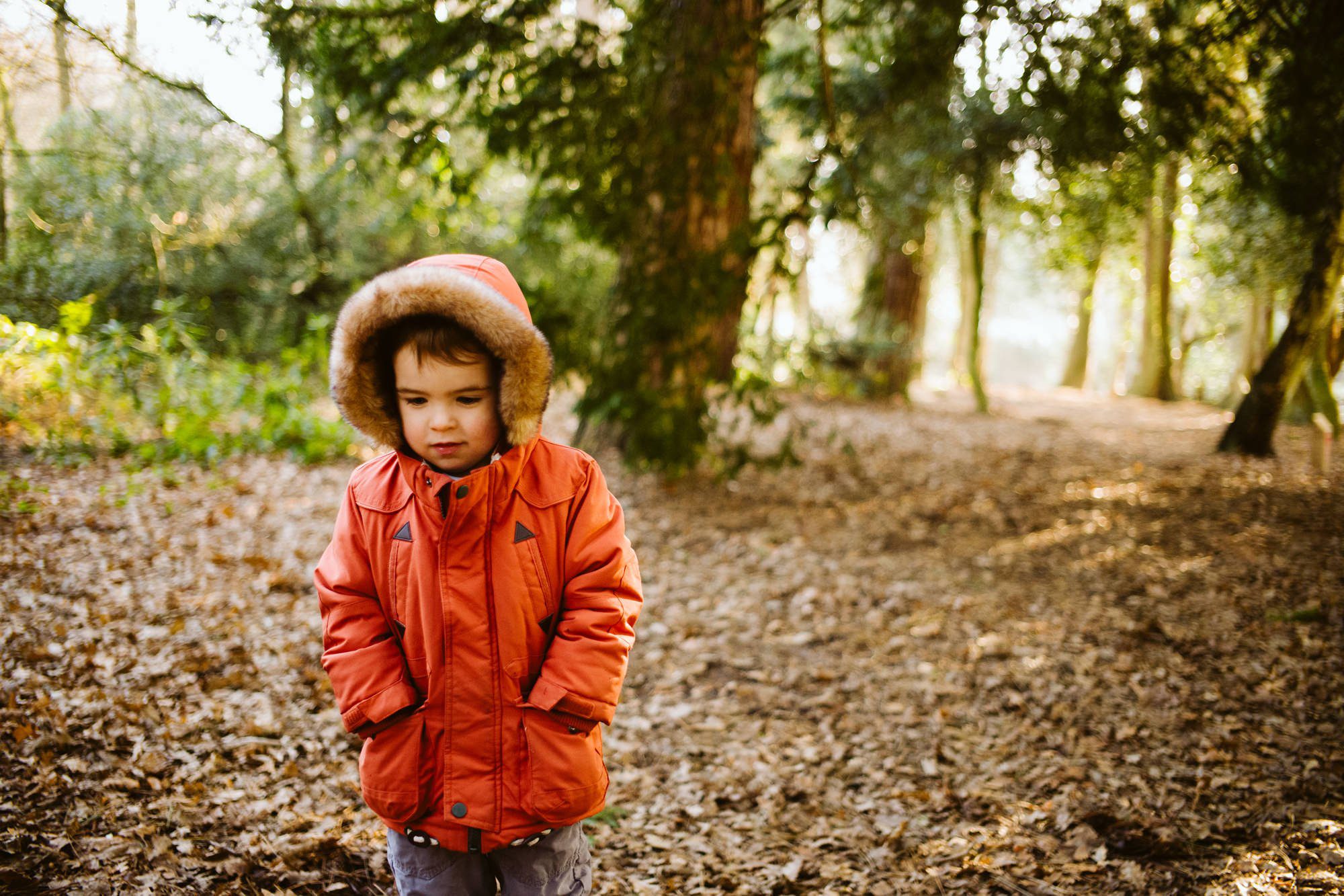 family photography cheshire